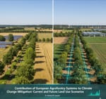 🌍 Sudanese Researchers Making Global Impact